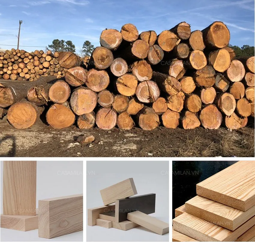 Chất liệu gỗ sồi ash tự nhiên cao cấp